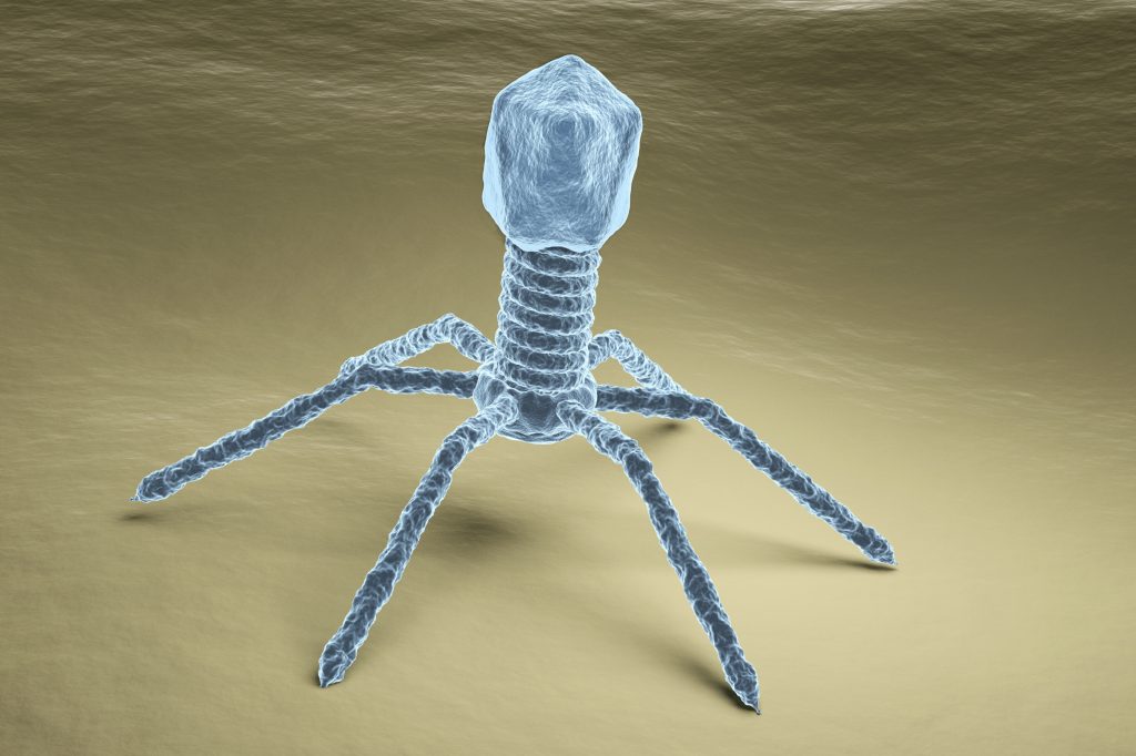 Bacteriophage virus particle on bacteria surface illustration simulating electron microscopy image