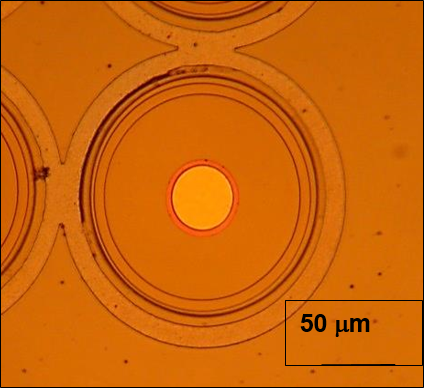 Ultra-Wide Bandgap Power Electronics