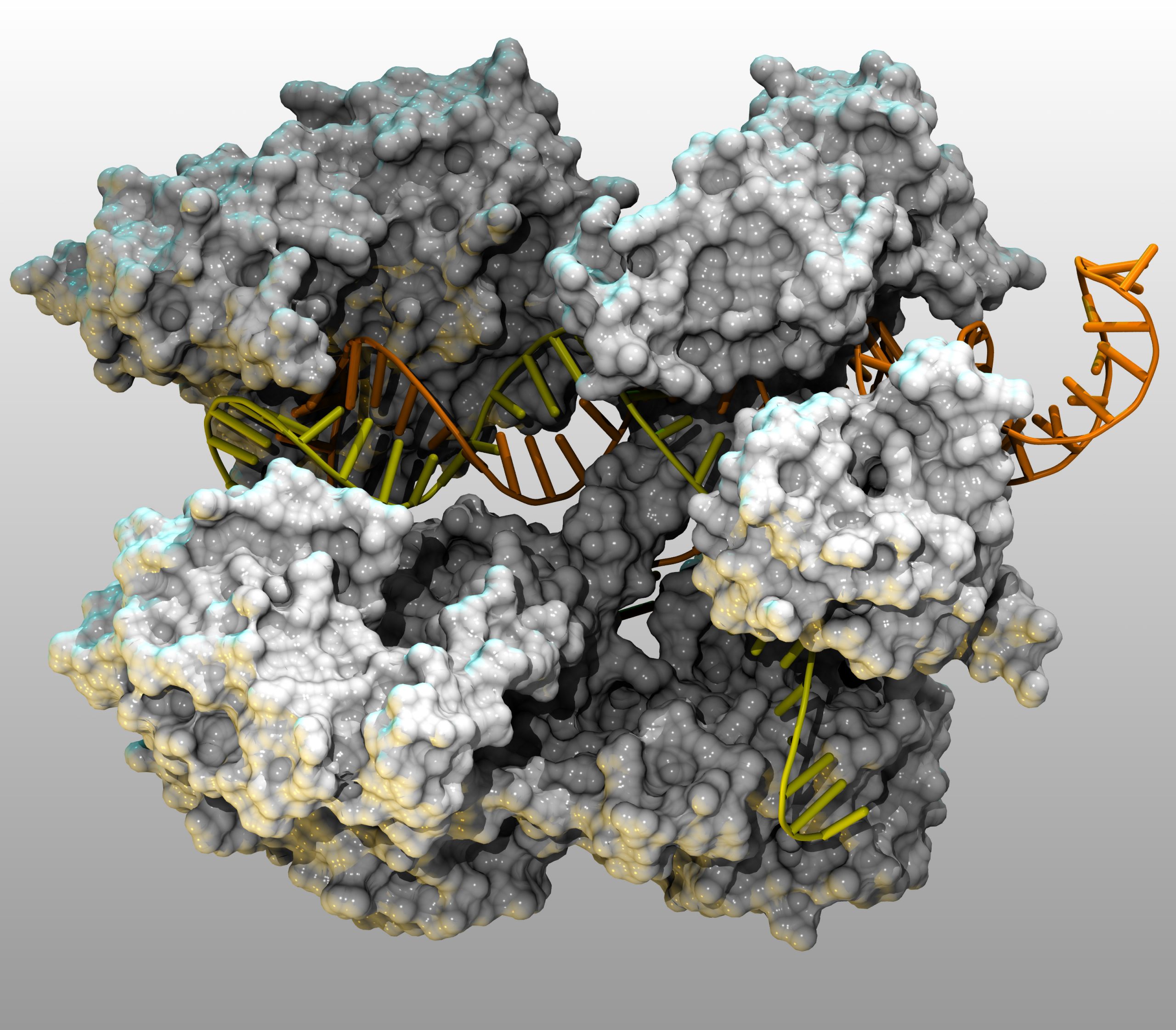 RNA-Targeting CAS9 System for Controlling Viruses