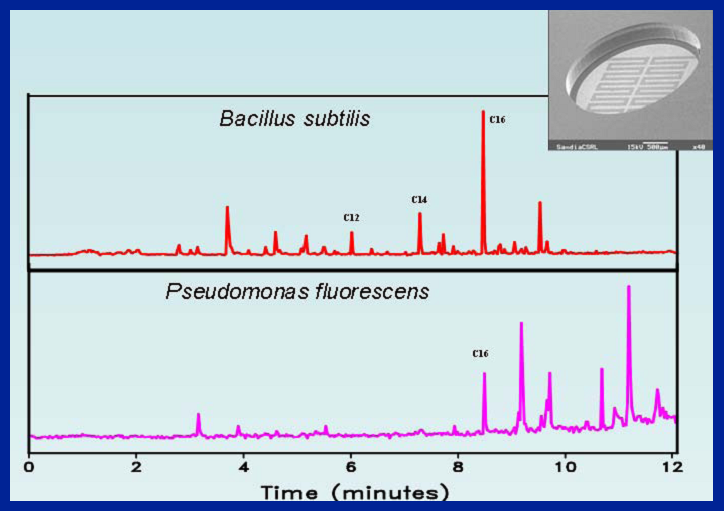 Image of Micropyrolizer-Chart_1