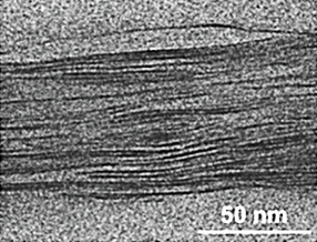 Nanocomposite Anti-Corrosion Coating