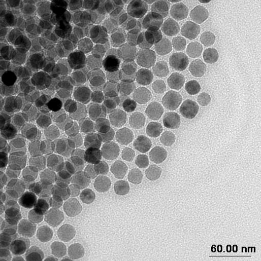 Synthesis of Uniform Magnetic Nanoparticles