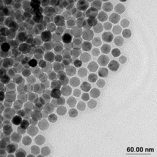 Image of Synthesis-of-uniform-magneticPicture1