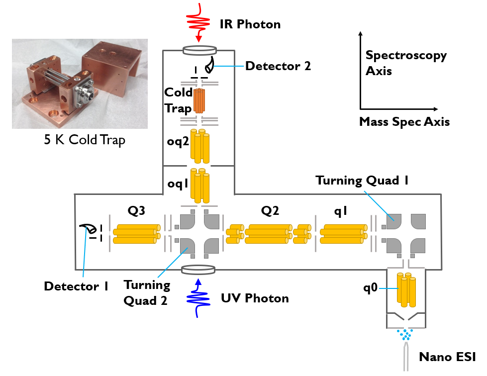 Figure 1: Multi-stage Mass Spectrometer used to study the infrared and ultraviolet spectroscopy and photochemistry of cryo-cooled, gas-phase ions. 