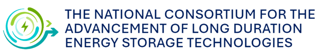 Image of LDES-Logo-White-e1703116625147-1024x180-2