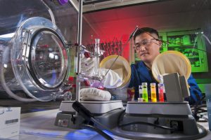 Hongyou Fan working with nanocoatings in his lab. Fan's work in the field of nanoparticle assembly and integration has supported a shift from nanoscience discovery to practical nanotechnologies. (Photo courtesy of Sandia National Labs) Click on the thumbnail for a high-resolution image.