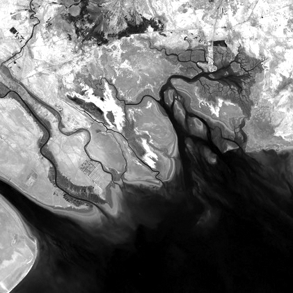 delta region of the Tigris-Euphrates river