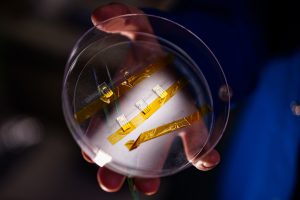 A petri dish with two rows of tiny devices taped down.
