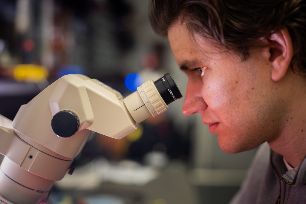 Chris Allemang at microscope