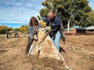 Sandia National Laboratories project manager Josie Gallegos, left, and financial specialist Denise Johnson work at a Seed2Need event in Corrales, New Mexico, on Nov. 1. along with 45 other volunteers. (Photo by Katrina Wagner) Click on the thumbnail for a high-resolution image.