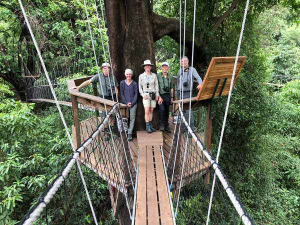 group stands on wooden treetop walkway structure