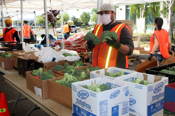 volunteer boxes broccoli at food bank