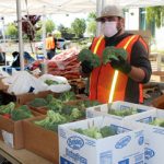 volunteer boxes broccoli at food bank