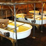 tubs of algae with piping