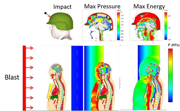 Sandia’s head-neck model (top) and the head-neck-torso model (bottom) in a ballistic impact simulation 