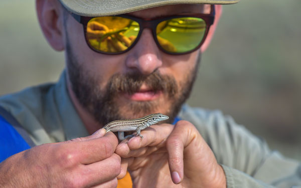 biologist examines lizard