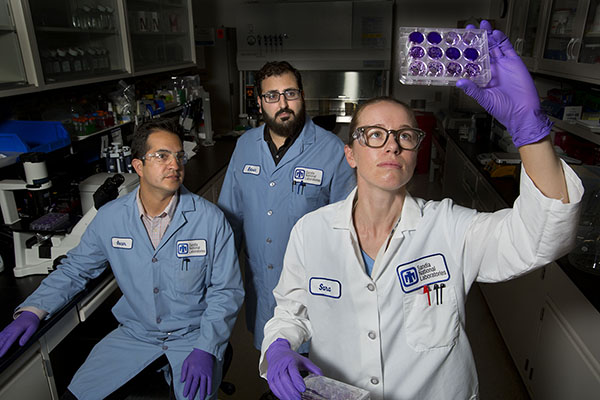 CRISPR CRADA – Sandia researchers, from left, Oscar Negrete (8621), Edwin Saada (8633), and Sara Bird (8621) check out a CRISPR library preparation. The work is part of the first-ever Cooperative Research and Development Agreement between Sandia and UCLA.(Photo by Dino Vournas)