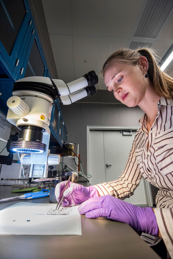 woman sets up sample