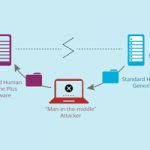 graphic showing software vulnerability path