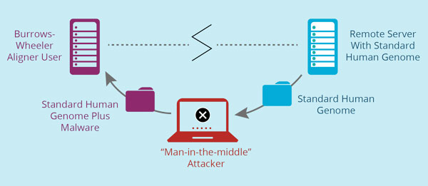 graphic showing software vulnerability path
