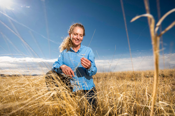 Jennifer Payne in a field of native vegitation