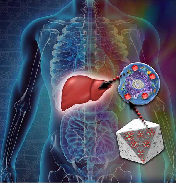 Schematic depiction of cell permeable MOF-based bioimaging agents. (Illustration by Lisa Sena-Carian)