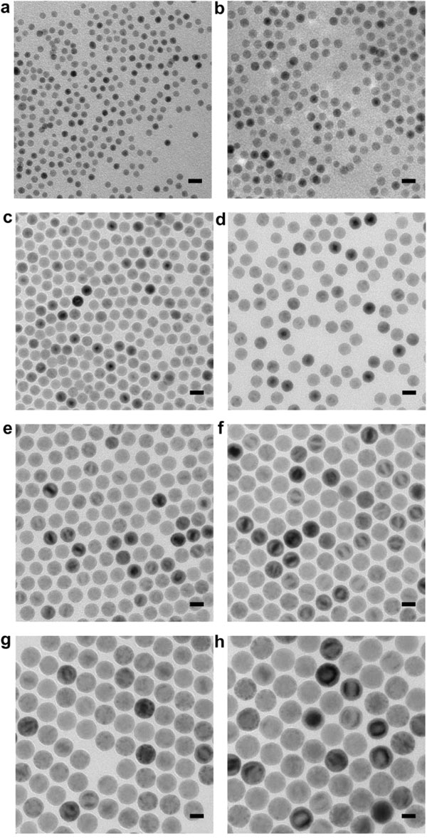 nanoparticles