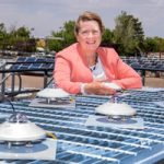 Laurie Burnham in solar panel field