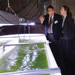 Algae raceway paves path from lab to real-world applications