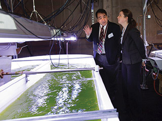 Algae raceway paves path from lab to real-world applications