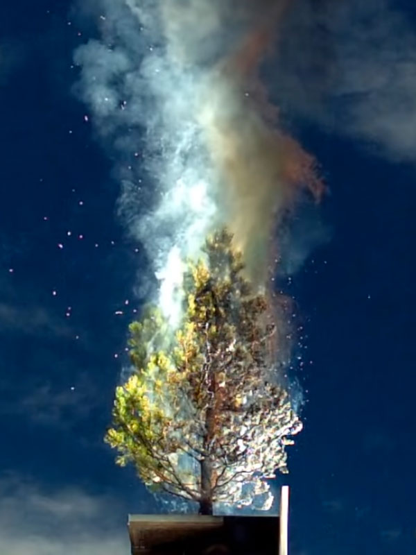 tree set on fire by solar power