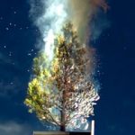 tree set on fire by solar power