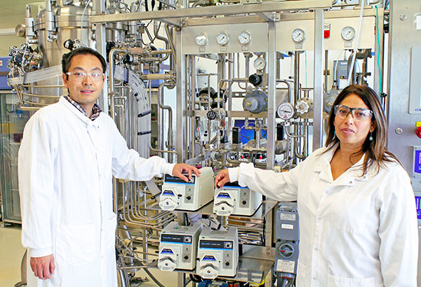 Sandia researchers Seema Singh and Jian Sun and their JBEI colleagues study the use of C02 to streamline the production of biofuels.