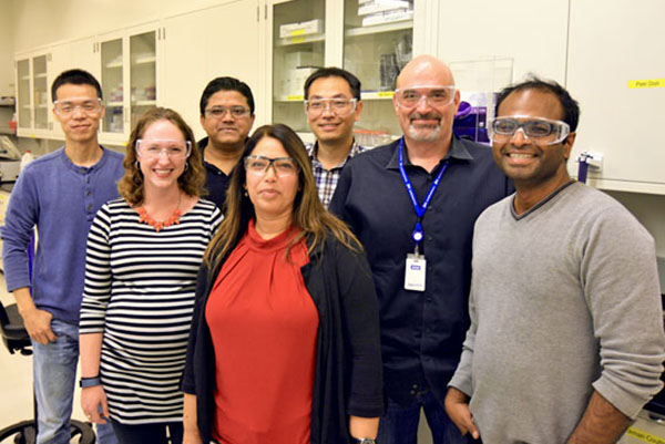 ADDING CO2 – Researchers at JBEI are studying the use of CO2 to streamline the production of biofuels. From left, Feng Xu, Corinne Scown, Tanmoy Dutta, Seema Singh, Jian ‘James’ Sun, Blake Simmons, and Murthy Konda.            (Photo by Arthur H. Panganiban/JBEI at Berkeley Lab)
