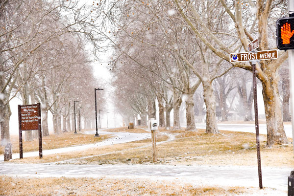 snow at Sandia Labs