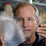 Former Sandia researcher Yuanmu Yang, left, and Sandia’s Igal Brener set up to do testing in an optical lab.