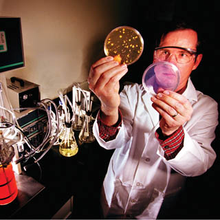 ANTICIPATING THREATS — In this 1999 photo, Sandia researcher Mark Tucker (6632)examines two petri dishes: one with a simulant of anthrax growing in it (left), the other treated with the decontaminating formulation developed at Sandia (right).	(Photo by Randy Montoya)