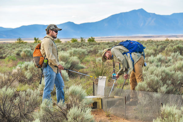 IN THE FIELD — Sandia wildlife biologists Austin Lewandowski (left) and Evan Fahy check a funnel trap for snakes, lizards, frogs and other critters on Sandia property. Only reptiles and amphibians are evaluated, and everything that creeps, crawls, hops and slithers is set free.