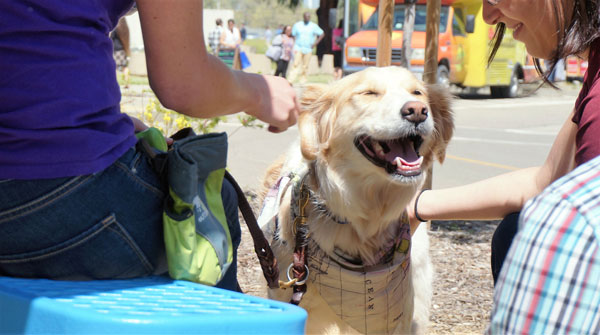 Image of earthdaydog_600