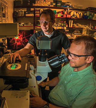 A SLIDE THAT’S OUT OF THE ORDINARY— Researcher George Bachand peers into the eyepiece of a confocal microscope illuminating the first biomolecular machines to assemble complex polymer structures. Off colleague Wally Paxton’s right shoulder is the image of a nerve-like assemblage created by protein nanomotors acting on polymer filaments.     (Photo by Randy Montoya)
