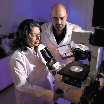 sandia RESEARCHERS Seema Singh and Blake Simmons coauthored a paper that establishes the Joint BioEnergy InstituteÕs (JBEI) footprint on the use of ionic liquid pretreatment technologies. The work demonstrates that advanced imaging can successfully be used to understand the mechanisms of ionic liquid pretreatment. (Photo by Randy Wong)