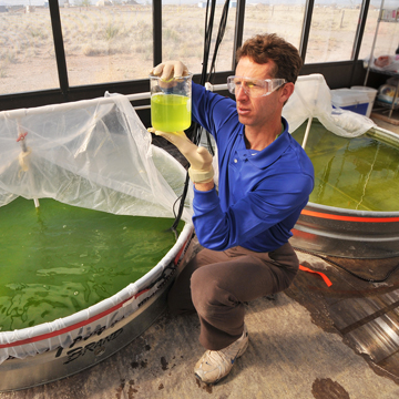 IN THE MIDST of algal growth tanks, researcher Brian Dwyer (6732) views a sample prior to a turbidity measurement.  (Photo by Randy Montoya)