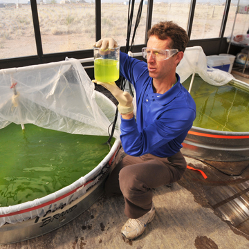 IN THE MIDST of algal growth tanks, researcher Brian Dwyer (6732) views a sample prior to a turbidity measurement. (Photo by Randy Montoya)