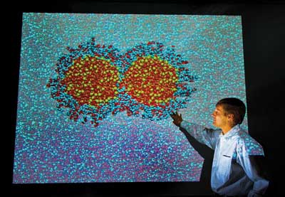 MATT LANE examines a large projection of a computer model depicting polymer-coated silica nanoparticles. Here, the two 5-nanometer particles make contact in a water solution. Sandia researchers used molecular dynamics simulations to measure the forces between coated nanoparticles that were too small to measure experimentally. The observation of strongly asymmetric coatings led Matt (1435) and colleague Gary Grest (1114) to further study the coating properties on very small particles. These results were featured as the cover article in the June 11, 2010, issue of Physical Review Letters. (Photo by Randy Montoya)