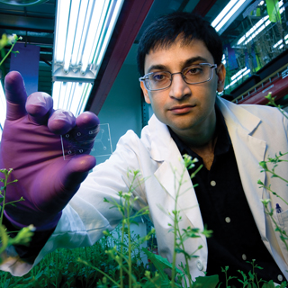 Small but speedy Ñ Rajiv Bharadwaj holds up the chip that is the basis of a high-throughput method to evaluate the effectiveness of digestion methods. The method, featured on the cover of Analytical Chemistry this month, provides quantitative information about all sugars in a sample, not just the monosaccharides.