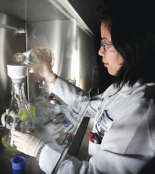 Image of <p>Sandia researcher Eizadora Yu prepares biomass harvested from liquid fungal cultures for nucleic acid analysis. The cultures come from the endophytic fungus Hypoxylon sp, which produces compounds potentially used for fuel. (Photo by Dino Vournas)</p>