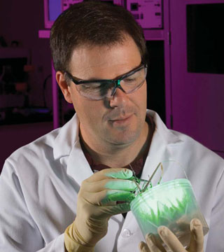 Image of DEAN DIBBLE (8237) prepares samples of switchgrass for analysis. (Photo by Randy Wong)