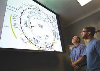 Kelly Williams, right, and Corey Hudson (both 8623) look at the mosaic pattern of one of the Klebsiella pneumoniae plasmids and discuss mechanisms that mobilize resistance genes. (Photo by Dino Vournas)