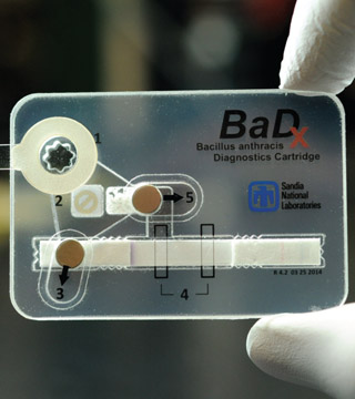 Image of SANDIA’S BaDx pocket-sized detector has everything needed to test a sample for anthrax. (Photo by Thayne Edwards)