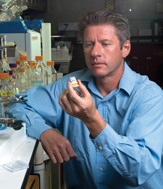 Ronen Polsky holds a prototype of a microneedle fluidic chip device able to selectively detect and painlessly measure electrolytes in the interstitial fluids that bathe skin cells. The device features nine sampling needles, each just 800 millionths of a meter (microns) in height, and beneath them, a fluidic channel that can draw interstitial fluid over nine gold disk electrodes. Each disk can be tailored to detect a different analyte. The visible rectangular gold pads are contacts. (Photo by Randy Montoya)